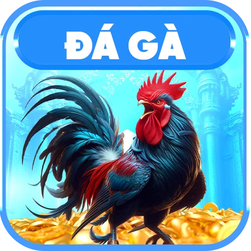 game đá gà nhà cái fly88