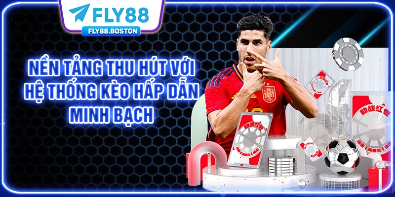 Nền tảng thu hút với hệ thống kèo hấp dẫn, minh bạch