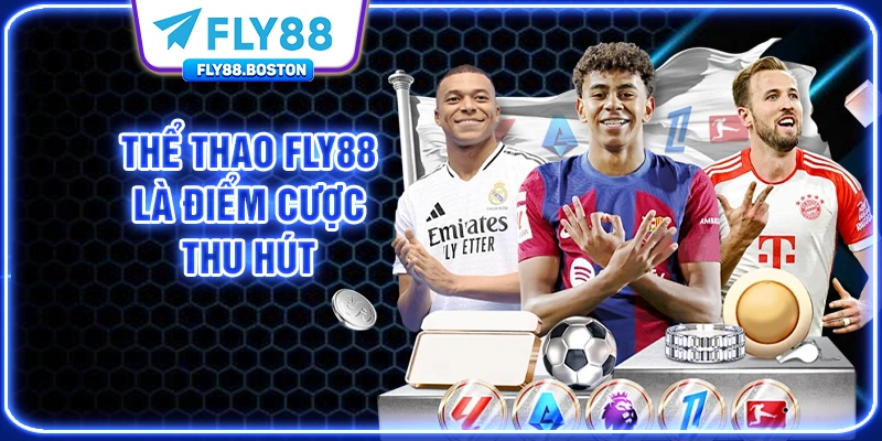 Thể Thao FLY88 là điểm cược thu hút